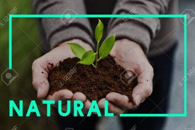 Alternativas a naturaleza: descripciones del entorno y el medio ambiente