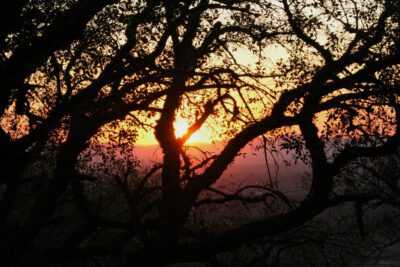 Prácticas para preservar la naturaleza y proteger el medio ambiente