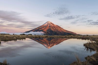 Explora parques naturales en San Francisco y sus alrededores