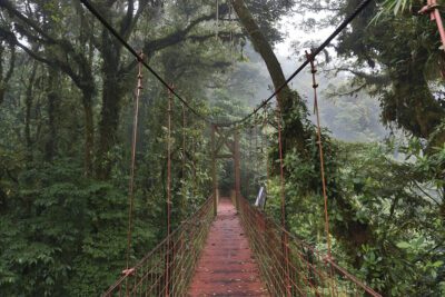 Las principales riquezas naturales del mundo y su importancia