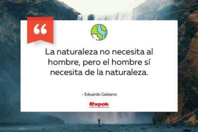 Beneficios de la naturaleza para la salud humana: una conexión vital