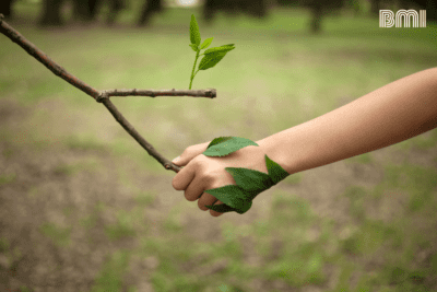 La relación entre el equilibrio natural y la salud humana
