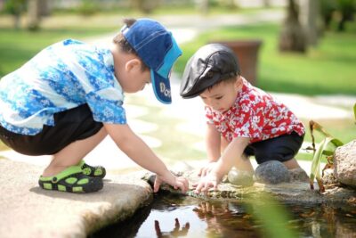 El impacto de la naturaleza en la salud mental: un análisis