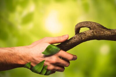 La relación del ser humano con la naturaleza: ejemplos y manifestaciones
