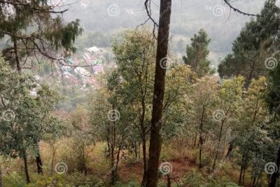Retiro espiritual para niños: paz interior y conexión con la naturaleza