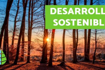 Guía completa para proteger y valorar el medio ambiente