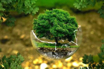 El pilar ambiental en la sostenibilidad: clave para el futuro