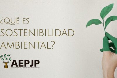 Prácticas para cuidar el medio ambiente y promover la sostenibilidad