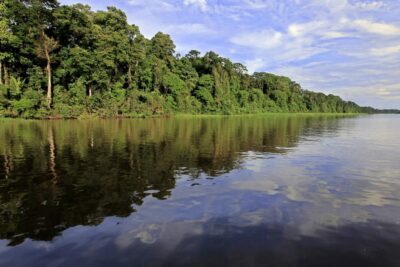 Exposiciones para crear conciencia ecológica y proteger el planeta