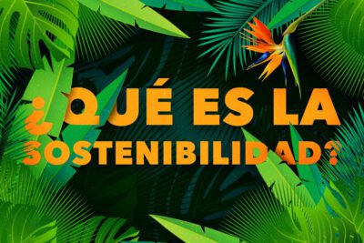 Responsabilidad y sostenibilidad: cuidando la naturaleza