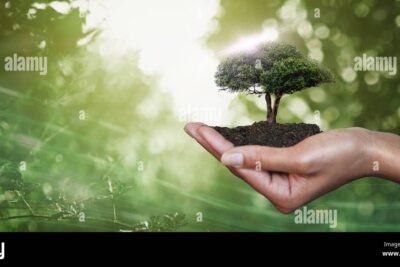 Fundamentos de la ecología humana y el bienestar ambiental