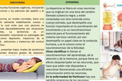 Hormonas del amor y la química cerebral en las mujeres enamoradas