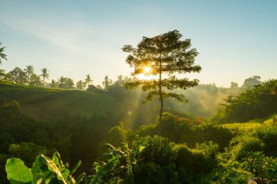 Conectar a los niños con la naturaleza para su desarrollo integral