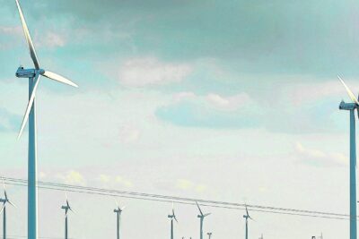 Organismos más vulnerables a la contaminación: una mirada detallada