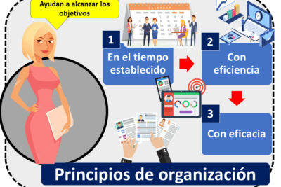 Los elementos clave para una organización eficiente: conoce cuáles son