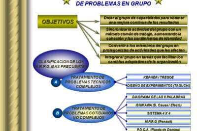 Habilidades para solucionar problemas y organizar eficientemente