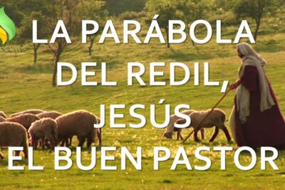 Cuidado de las ovejas según la parábola del redil en la Biblia