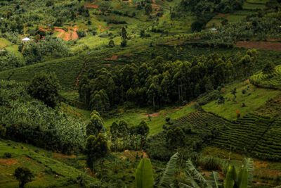 Diversas formas de percibir el paisaje: una mirada multidimensional