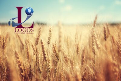 Las enseñanzas de la parábola en la Biblia: una reflexión profunda