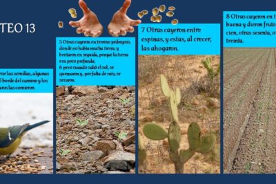 Las parábolas de Mateo 13: significado y enseñanzas