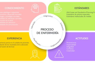 Proceso de aprobación en un proyecto: cómo funciona y sus pasos clave