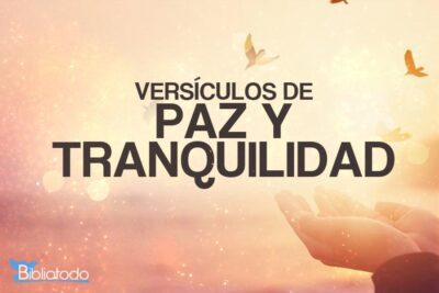 Técnicas para liberar energía y encontrar equilibrio espiritual