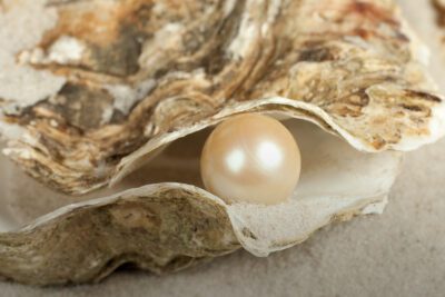 El significado de la parábola de la perla de gran precio: una lección sobre el valor y el sacrificio