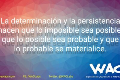 La perseverancia: una fuerza para el éxito