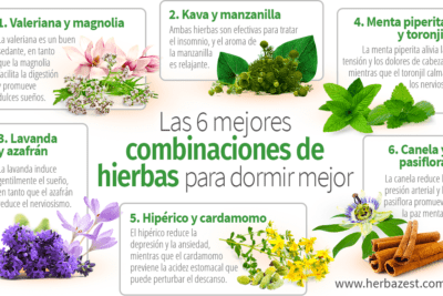 Remedios naturales para calmar la ansiedad y recuperar la tranquilidad