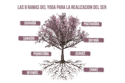 Las 8 ramas del yoga: una guía completa para su práctica efectiva