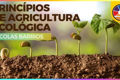 Principios ecológicos de Laudato si: respeto, cuidado, justicia y solidaridad