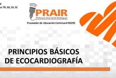 Guía para comprender la importancia de los principios y su utilidad