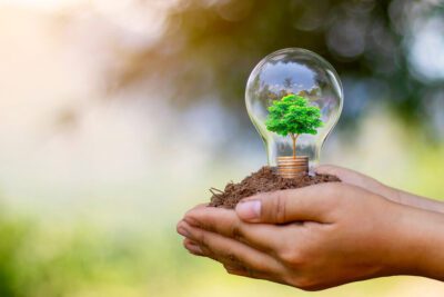 Soluciones efectivas para problemas ambientales: ¡descúbrelas aquí!