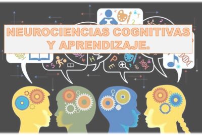 Diferencia entre enseñar y aprender en educación: conceptos y enfoques