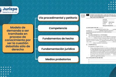 Elementos del proceso de conocimiento: cómo adquirimos información