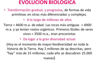 Transformación explicada de forma simple: Todo lo que necesitas saber