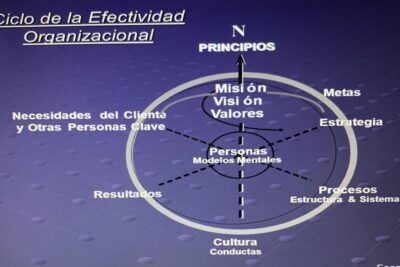 Gestión integral: identificación, análisis y mejora de procesos clave