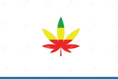 Los principios y significado de ser un rastafari: una guía completa