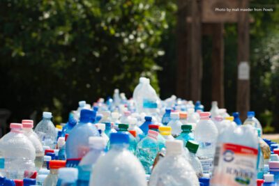 Prácticas ecológicas para cuidar el medio ambiente en la escuela