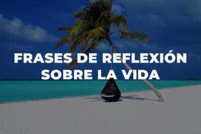Reflexión sobre la valoración y determinación del valor de la vida