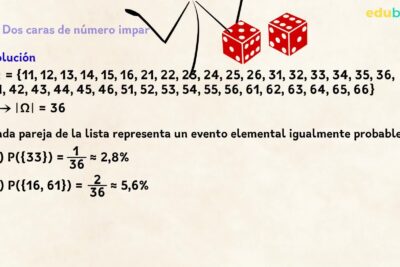 Regla 24: Significado y aplicación en su ámbito correspondiente
