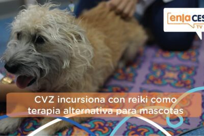 Costos de aprendizaje y práctica de Reiki en México: Todo lo esencial