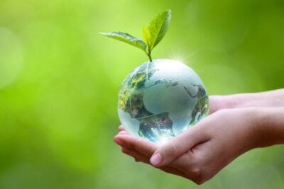 La importancia de la ética en la preservación del medio ambiente