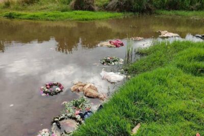 El significado de las ofrendas de sangre en diferentes culturas
