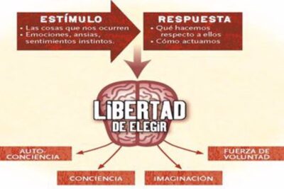 La influencia de la sabiduría en la conducta y decisiones personales