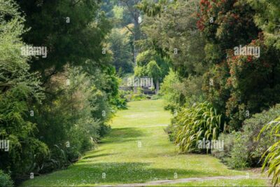 San Francisco de Asís: Santo y amante de la naturaleza
