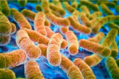 La biología: el campo de la ciencia que estudia los seres vivos