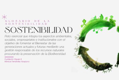 El papel del ser humano en la sostenibilidad del medio ambiente