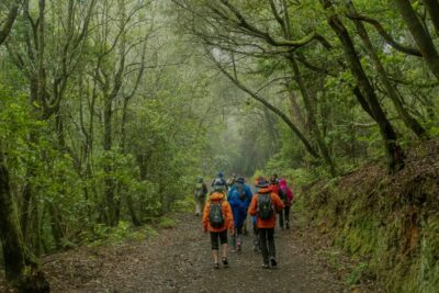 El impacto humano en los recursos naturales y sus soluciones