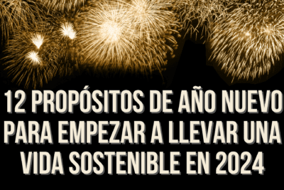 Conciencia ecológica en tu rutina diaria: mejores prácticas